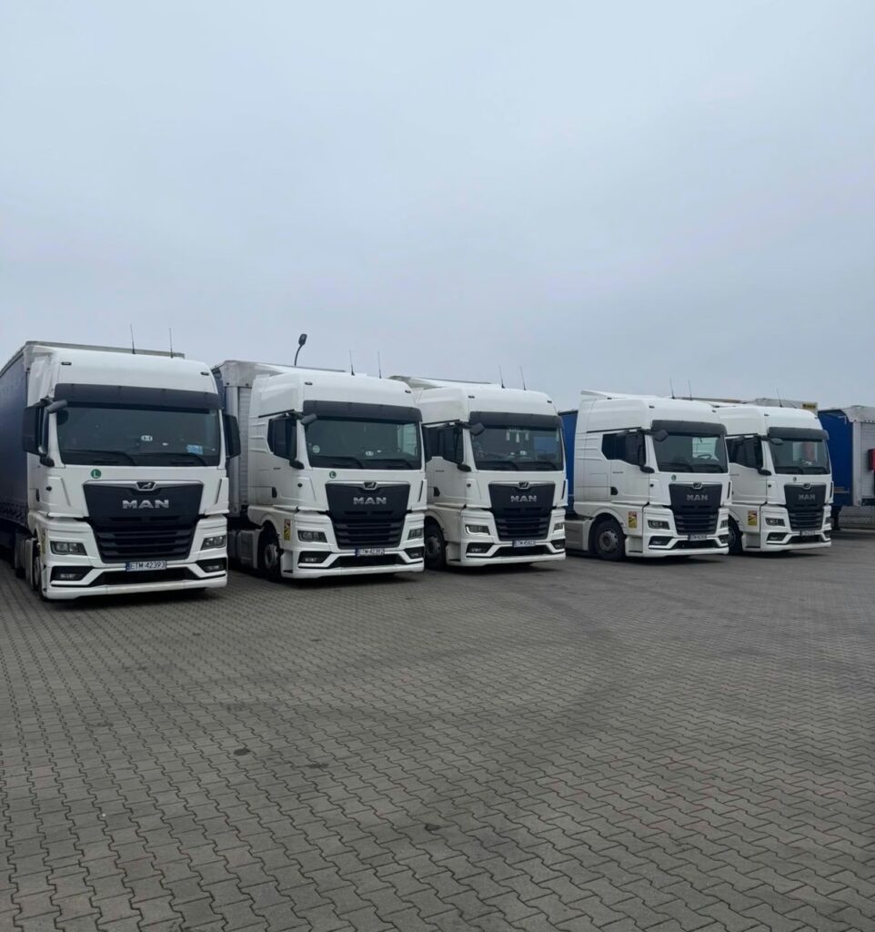 Galeria Wonder Company