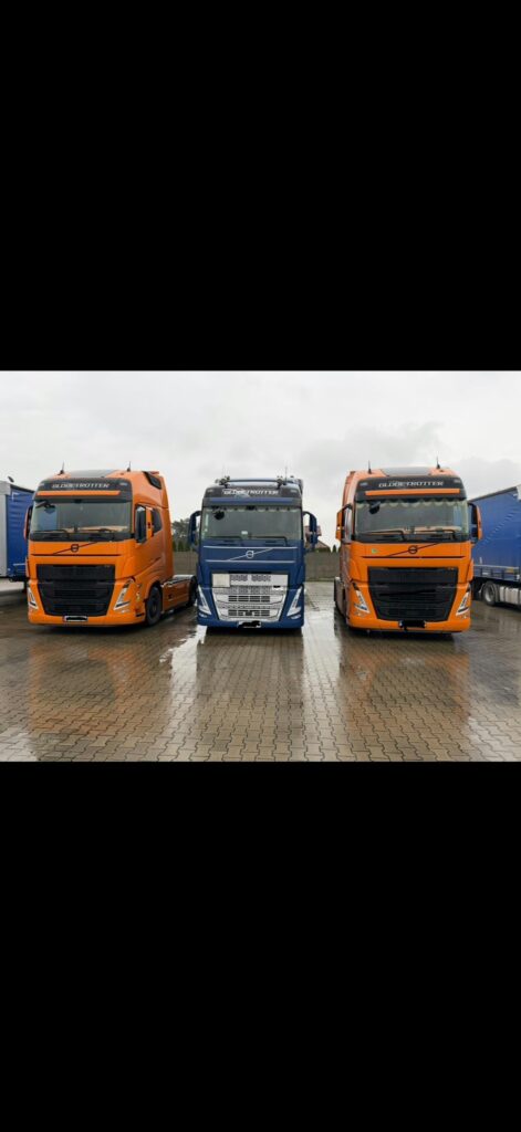 Galeria Wonder Company