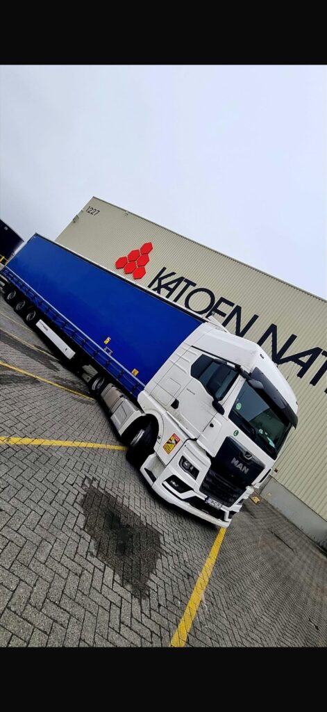 Galeria Wonder Company