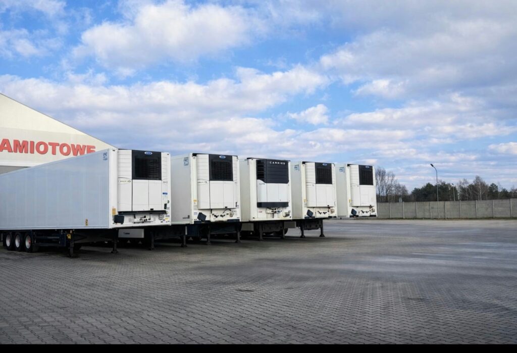 Galeria Wonder Company